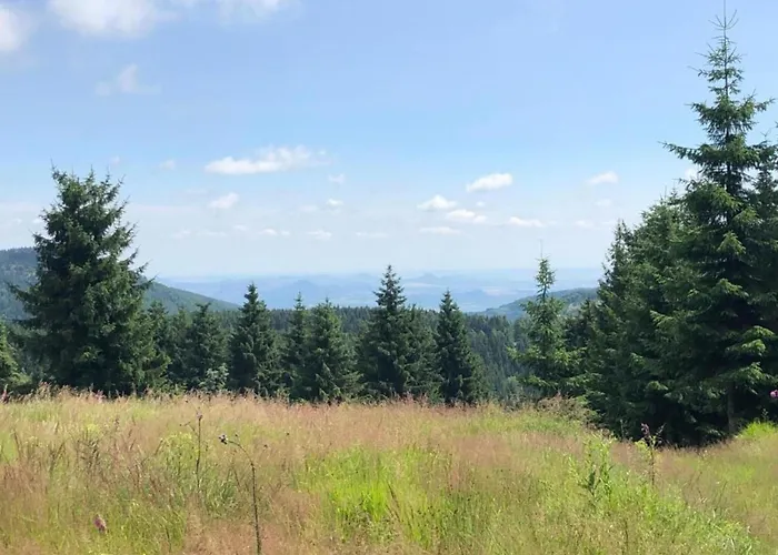 Ferienhaus Majestic In