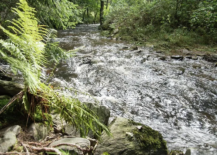 Majestic In * Deutschneudorf